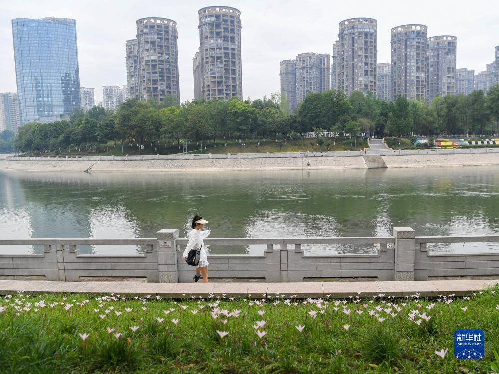 电游平台网